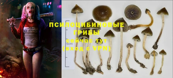 альфа пвп Гусиноозёрск