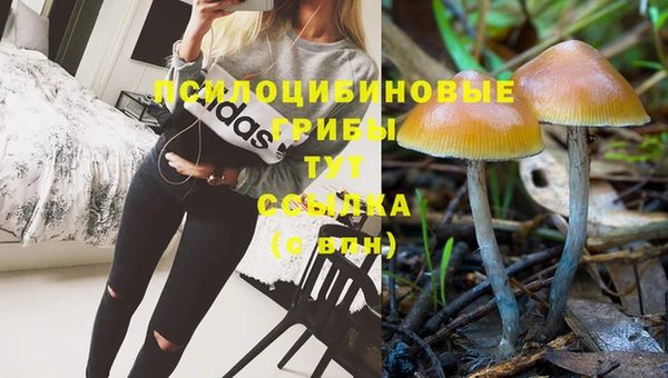 apvp Гусь-Хрустальный