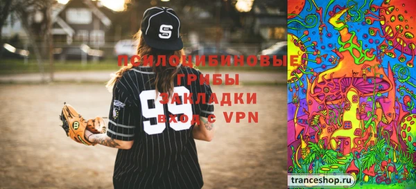 apvp Гусь-Хрустальный