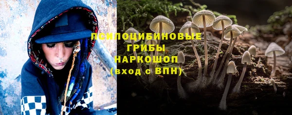 apvp Гусь-Хрустальный
