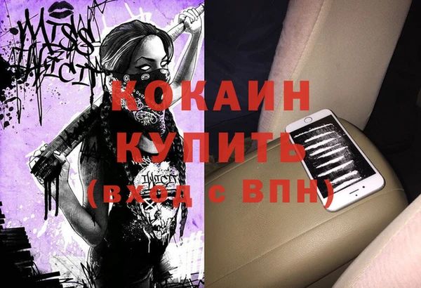 apvp Гусь-Хрустальный